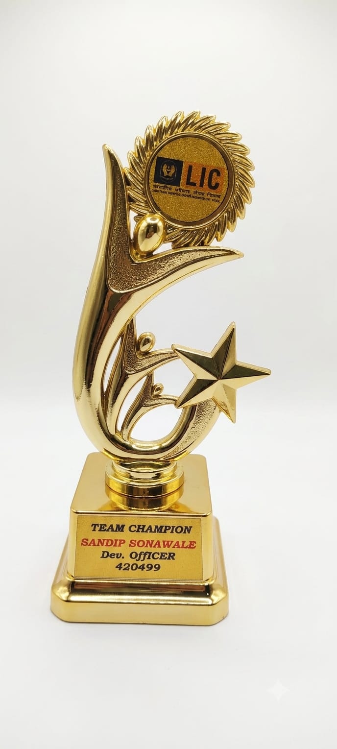 Award 11